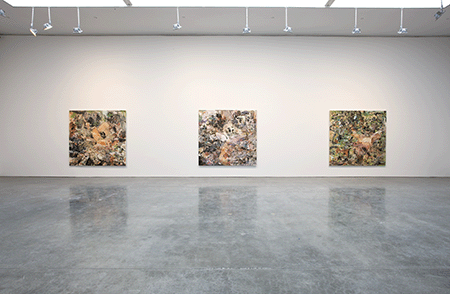 Installation view of Cecily Brown, Gagosian, New York, 2008 featuring three of the Skulldiver canvases, the present work is visible on the left.